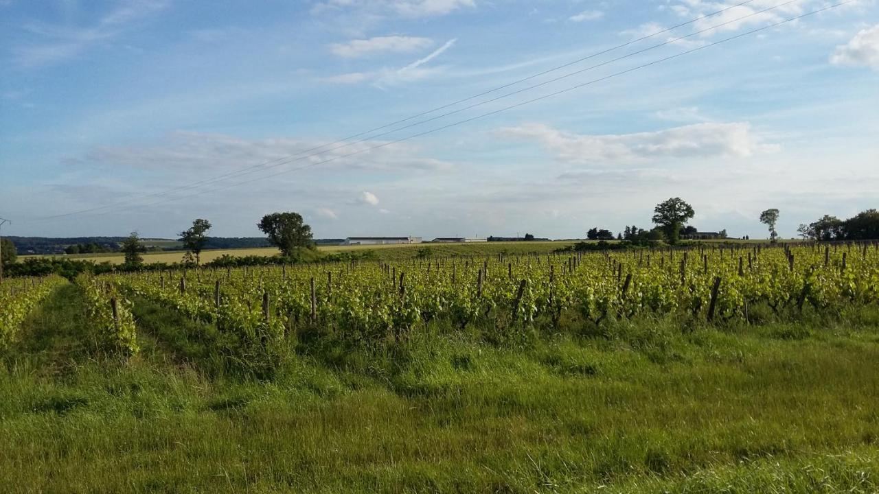 Gite-Civray-De-Touraine Maison De Denise Esterno foto